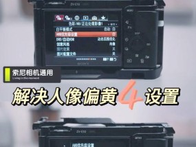 电脑如何调节索尼相机的设置？调节过程中有哪些技巧？