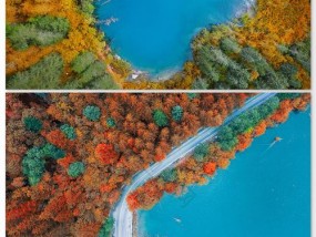 手机如何设置拍摄镜面倒影效果？树林背景下的技巧是什么？