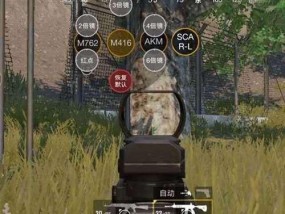 苹果手机十二拍照手柄的设置方法是什么？