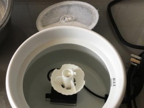 饮水机出现小虫的原因及解决方法（探究饮水机出现小虫的根源及有效防治措施）