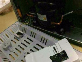 冰柜后面的异味及处理方法（解决冰柜后面的臭味问题）