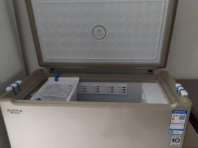 解决冰柜发霉问题的有效方法（掌握正确清洁方法）