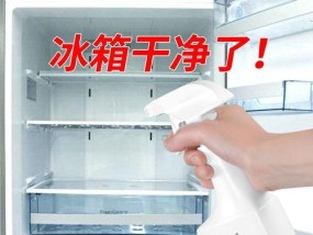 冰箱除臭大作战（有效清理冰箱异味的实用方法）