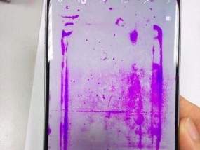 显示器漏液的原因及解决方法（了解显示器漏液的常见原因）