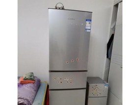 澳柯玛冰箱的性能评价及使用体验（一款好用又实用的家电产品）
