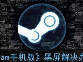 手机黑屏了怎么办（解决手机黑屏问题的简易方法）