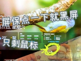 电脑黑屏时如何预防病毒攻击？