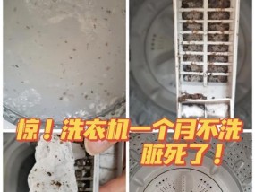 洗衣机产生异味如何解决？有效去除方法是什么？