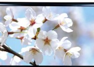 电视机阴阳屏维修价格解析（了解维修费用）