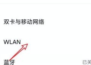 深入了解IP地址（探索IP地址的作用与保护方法）