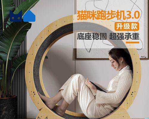 猫跑步机脱轨的故障处理方法（保证猫咪安全运动的关键措施）  第1张