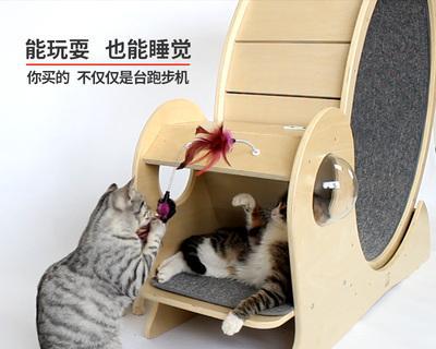 猫跑步机脱轨的故障处理方法（保证猫咪安全运动的关键措施）  第2张