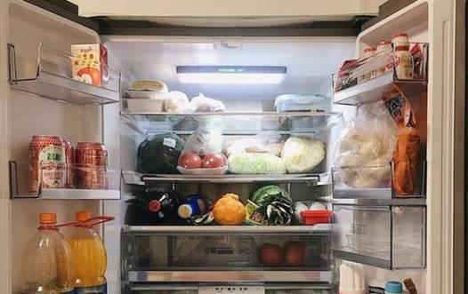 冰箱异味去除大全（快速去除冰箱异味的小妙招）  第1张