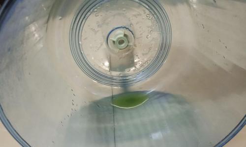 饮水机水箱青苔清洗方法（快速有效清除饮水机水箱青苔的小妙招）  第1张