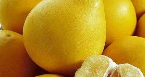 秋季水果大全——丰富多样的秋日滋养（品尝天赐的果实）  第1张