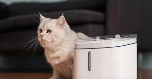 如何彻底清洗猫咪饮水机（保障猫咪健康）  第1张