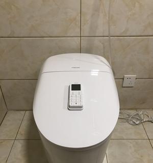 什么东西能最有效地堵住法恩莎马桶（探索堵住法恩莎马桶的最强武器）  第1张