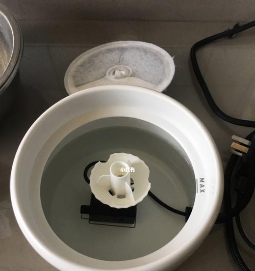 饮水机出现小虫的原因及解决方法（探究饮水机出现小虫的根源及有效防治措施）  第1张