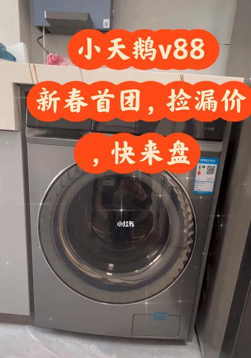 自制洗衣机过滤网清洗方法（简单有效的洗衣机过滤网清洗技巧）  第2张