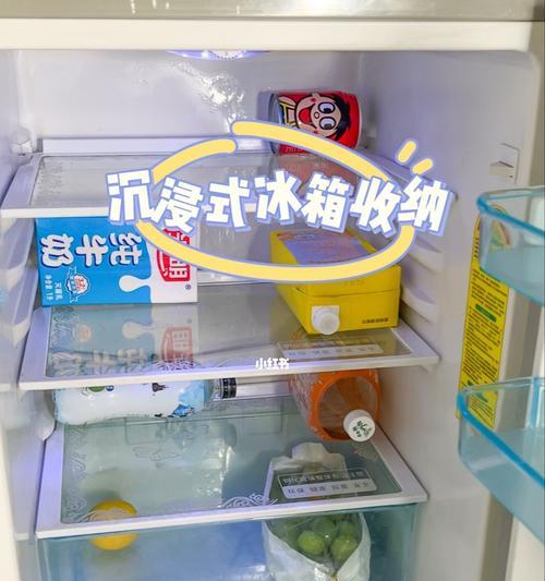 提升家庭收纳效率，沉浸式冰箱收纳拍摄法解析（通过沉浸式冰箱收纳拍摄法）  第1张