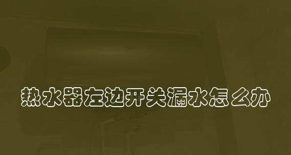 解决热水器排气管漏水问题的方法（快速处理热水器排气管漏水）  第3张