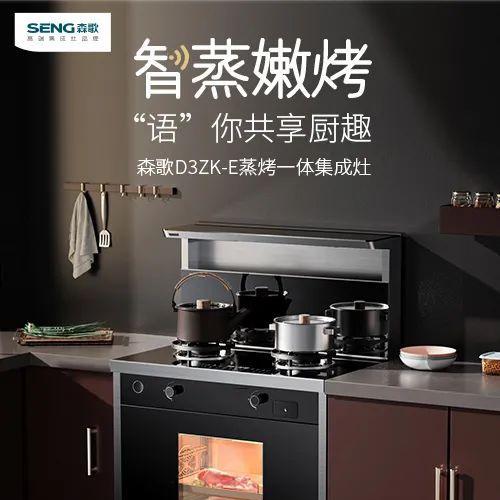 集成灶显示e错误原因及解决方法（集成灶显示e错误原因的解析及相应的解决方法）  第1张