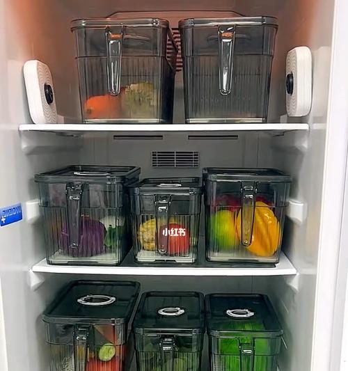 冰箱气味重如何处理最佳方法（有效去除冰箱异味的技巧和建议）  第2张