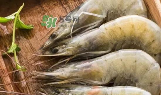 没有冰箱，如何保存虾（省时省力的方法）  第3张