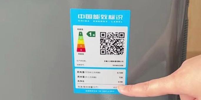 小天鹅洗衣机E10故障原因及解决方法（小天鹅洗衣机E10错误代码意义和操作技巧）  第1张
