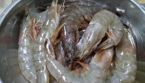 没有冰箱虾怎么保存？有效保存方法有哪些？  第3张