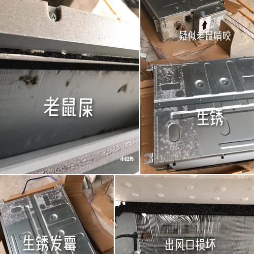 老鼠跑进中央空调怎么办？如何有效处理？  第1张