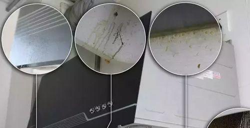 油烟机盒为何特别难清洗？如何轻松解决？  第3张