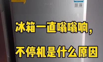冰箱持续噪音不断？故障原因及解决方法是什么？  第1张