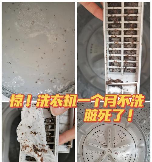 洗衣机产生异味如何解决？有效去除方法是什么？  第1张