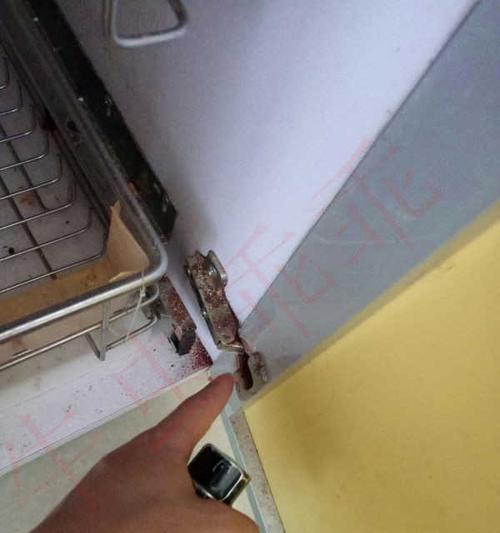 饮水机发现蟑螂怎么办？有效清理方法有哪些？  第1张