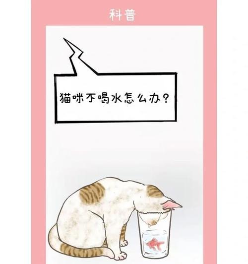 饮水机发现蟑螂怎么办？有效清理方法有哪些？  第2张