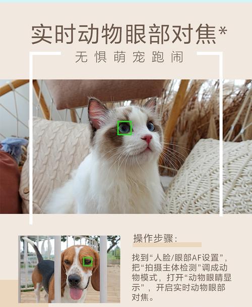 萌颜自拍相机在手机上的使用方法是什么？  第3张