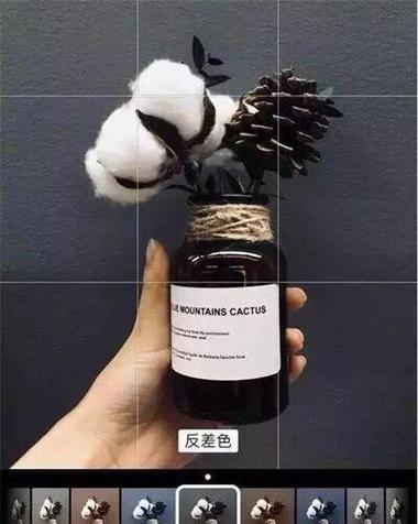 便携式小照相机手机拍照操作指南？  第2张