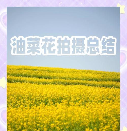手机拍照油菜花设置怎么设置？如何拍出美丽的油菜花照片？  第3张