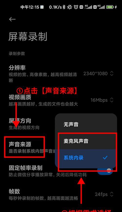 电脑录屏时内录无声音应如何设置？  第3张