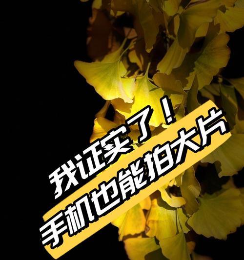 如何保持手机拍照功能一直开启？  第1张