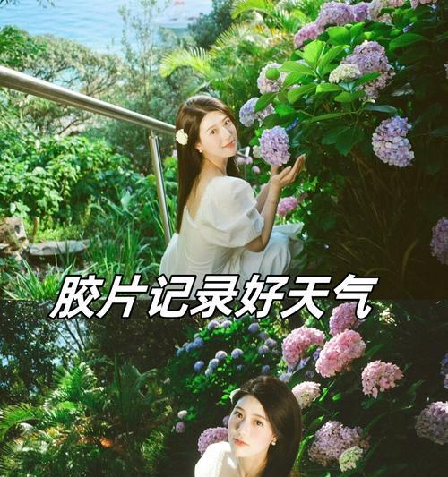拍照时没有手机阴影怎么办？如何营造自然的光线效果？  第1张