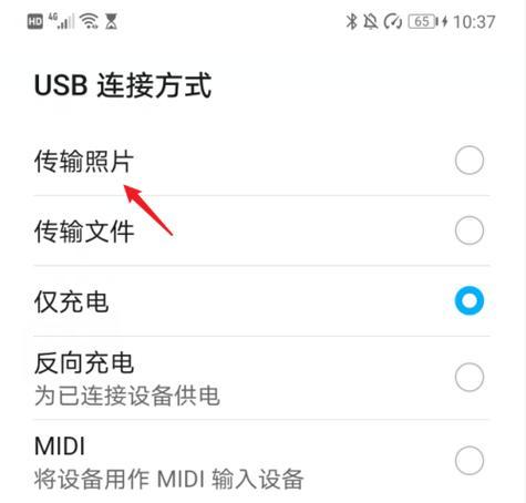 小图标如何导入电脑软件？导入后如何使用？  第3张