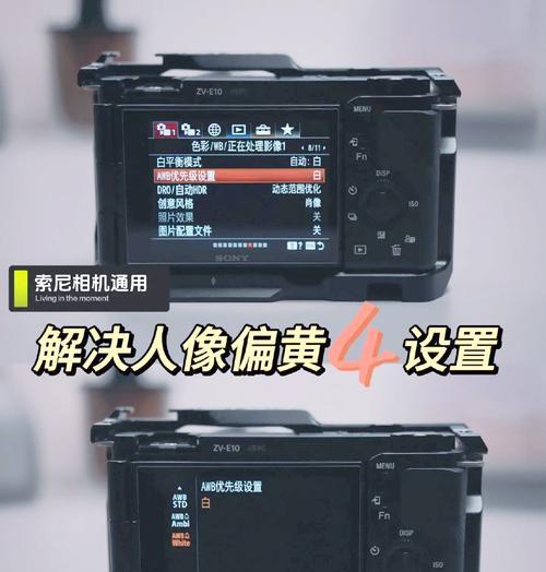 电脑如何调节索尼相机的设置？调节过程中有哪些技巧？  第1张
