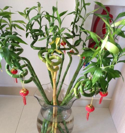 苹果手机竹子表情代表什么？如何使用？  第2张