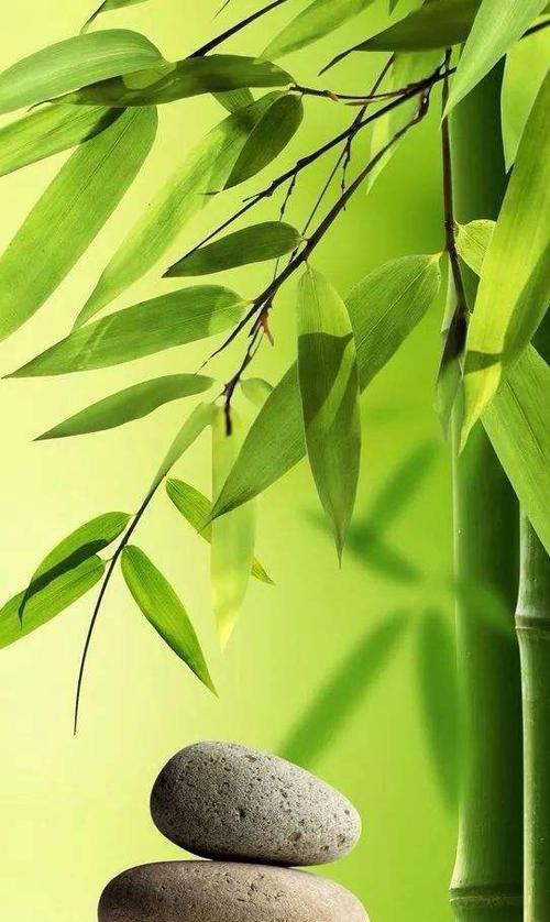 苹果手机竹子表情代表什么？如何使用？  第1张